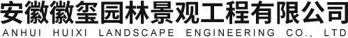 头号玩家平台官网